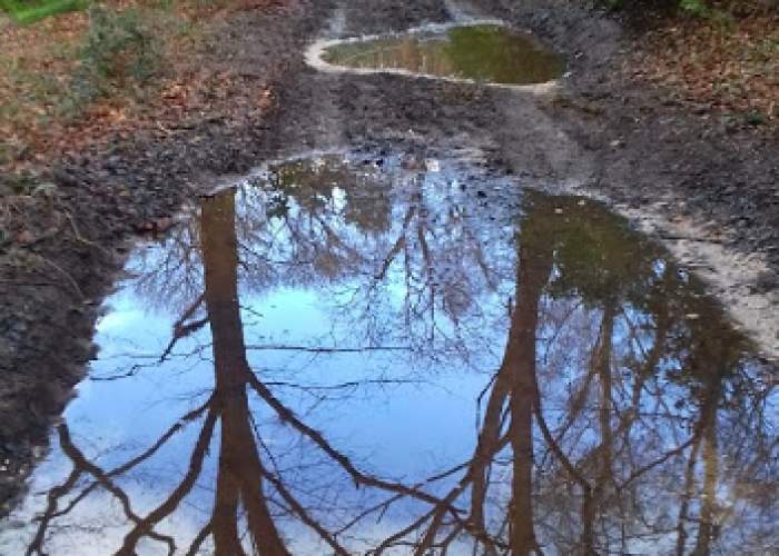 Puddle reflections